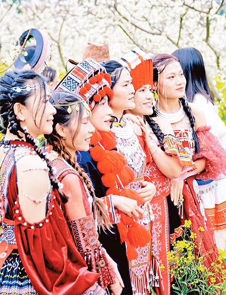 Туристы фотографируются на фоне красивых цветущих слив.