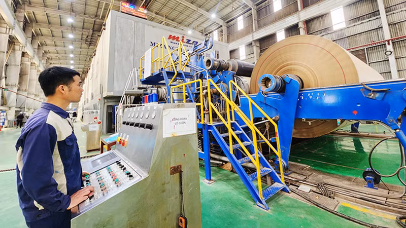 Заводы большой мощности создают правильное направление развития для бумажной промышленности.