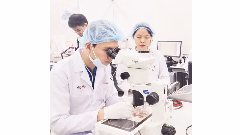 Проведение научно-исследовательской деятельности в Государственном университете города Хошимина.