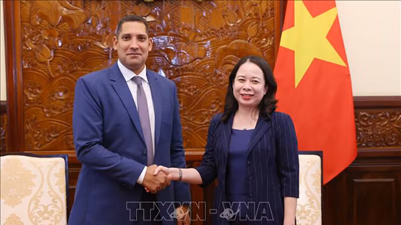 Вице-президент Во Тхи Ань Суан и Посол Швеции во Вьетнаме Йохан Ндиси. Фото: ВИА