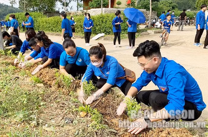 Молодежь участвует в санитарной обработке окружающей среды. Фото: baolangson.vn