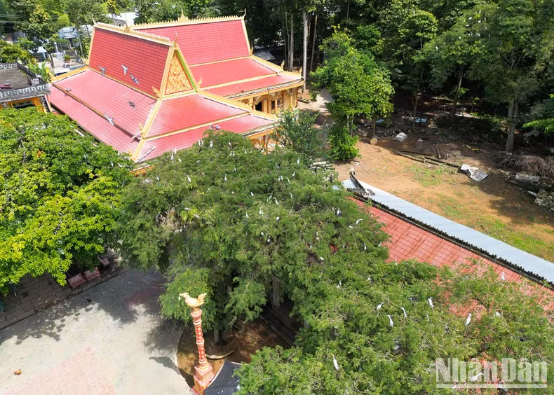 Пагода Ханг привлекает туристов не только своей древней красотой, но и уникальностью птичьего сада и изобразительными художественными скульптурами, созданными умелыми и талантливыми руками монахов-ремесленников пагоды.