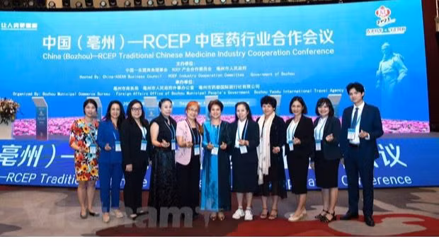 Делегаты на конференции. Фото: Vietnam+