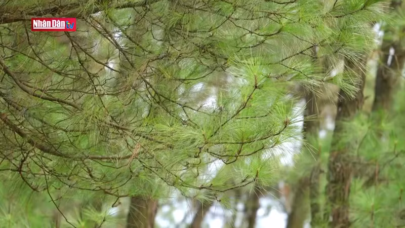 Озеро Чайтиеу можно посетить в четыре сезона.