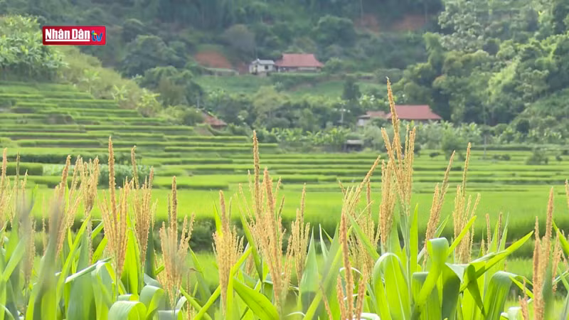 Тьиенгко – община, расположенная на западе города Шонла (провинция Шонла).
