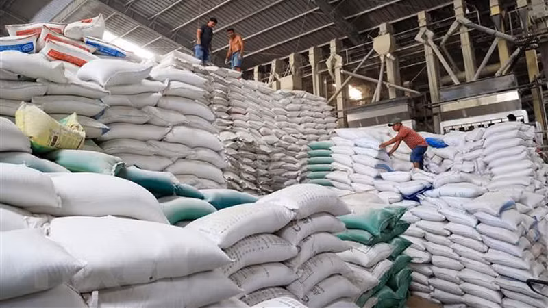 Склад риса для экспорта ООО Зыонгву (уезд Тхутхыа, провинция Лонган). Фото: ВИА