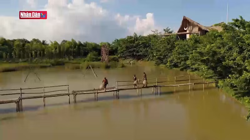 В развлекательные мероприятия были включены характерные занятия во вьетнамской деревне.