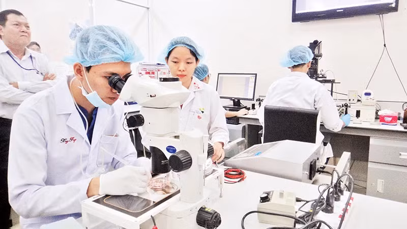 Научно-исследовательская деятельность в Государственном университете г. Хошимина. Фото: Као Тан