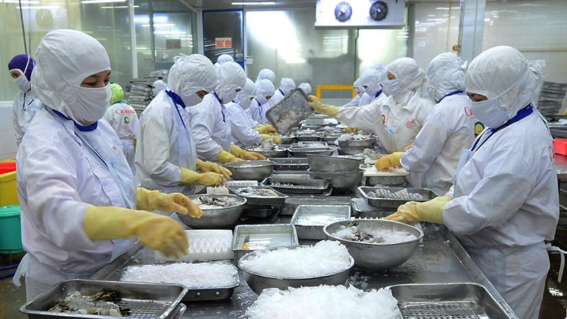 Переработка водной продукции на экспорт в АО Cafatex (провинция Хаужанг). Фото: Чан Куок