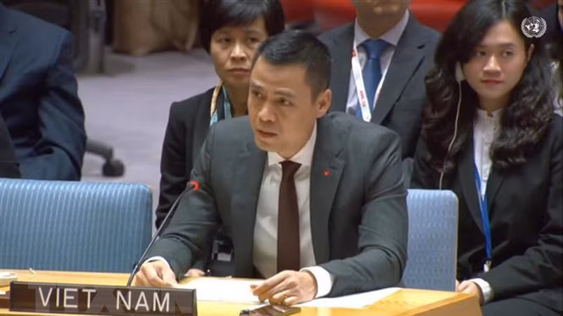 Посол Данг Хоанг Жанг, глава постоянной миссии Вьетнама при ООН. Фото: ВИА