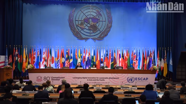 Общий вид заседания. Фото: Суан Шон - Динь Чыонг