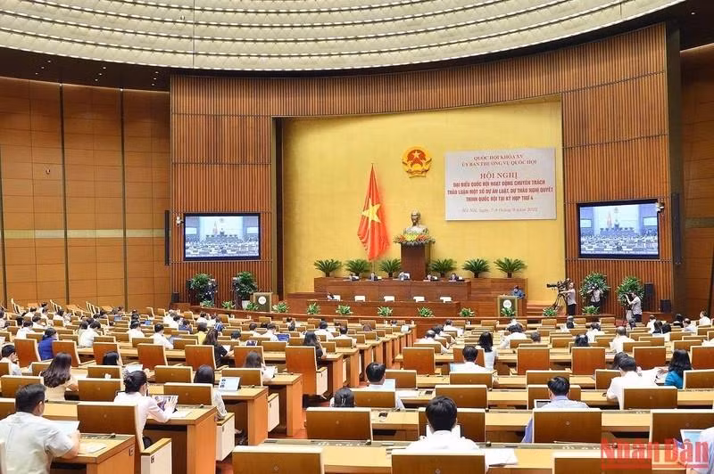 Общий вид конференции. Фото: Зюи Линь