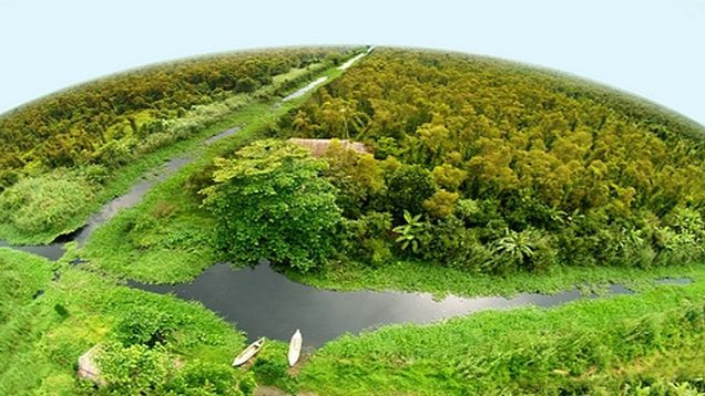 Национальный парк мыса Камау омывается морем с трех сторон. Фото: dacsanmuicamau.com