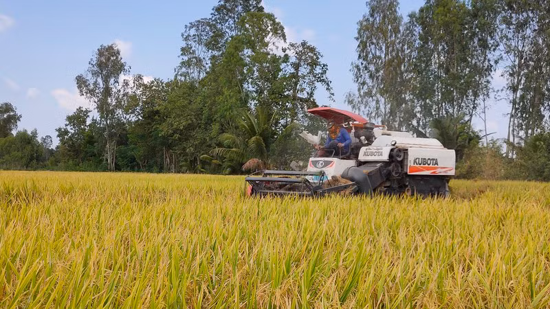 Иллюстрация.