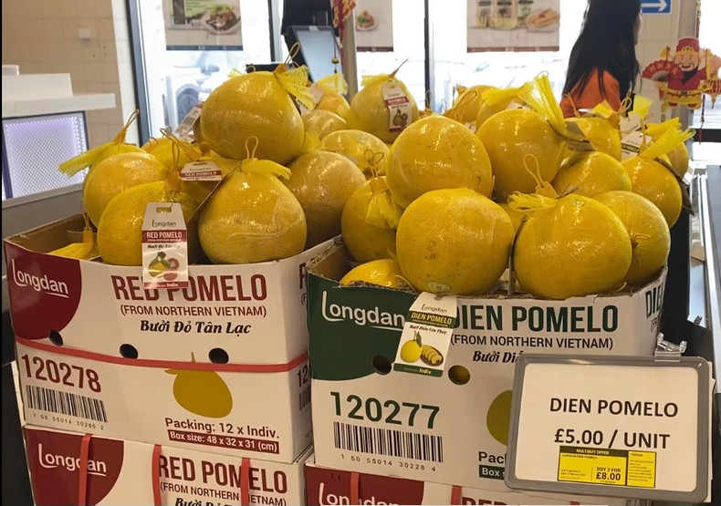 Помело Зиен в супермаркете Longdan. Фото: ВИА Помело Зиен в супермаркете Longdan. Фото: ВИА