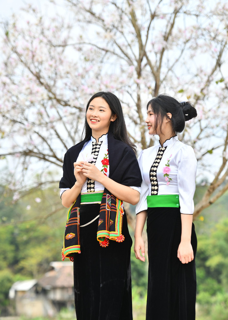 Чистая белая краска цветов баухинии часто сравнивается с чистой красотой молодой девушки на Северо-Западе.