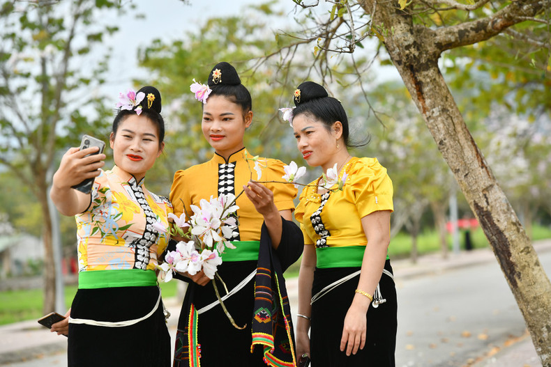 Весенняя прогулка в лесу цветов баухинии.