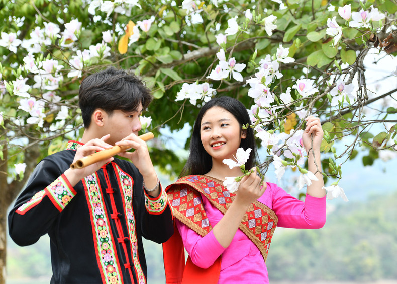 Образ цветов баухинии присутствует в быту, на одежде, в мелодии о любви и в песнях жителей Северо-Запада.