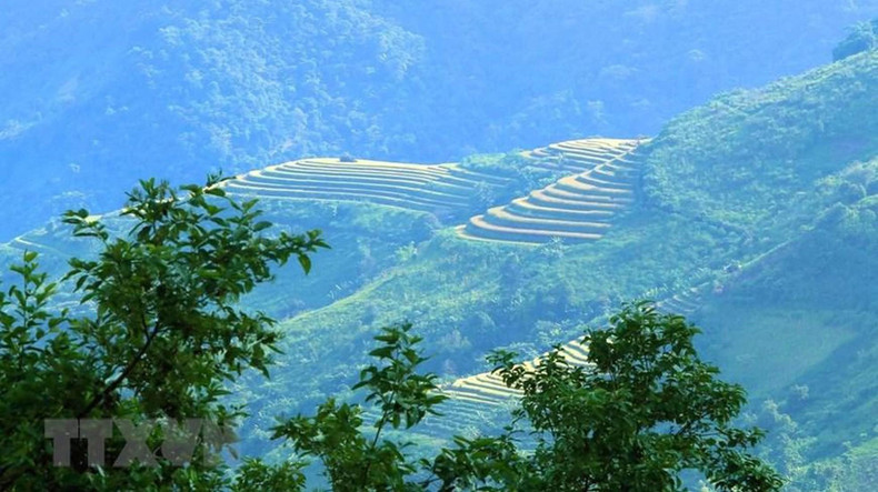 Золотистое осеннее солнце светит вниз, делая террасные поля переливающимися разными оттенками. Золотистое осеннее солнце светит вниз, делая террасные поля переливающимися разными оттенками.