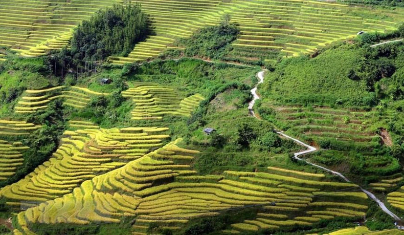 Террасные поля у подножия горы в приграничной общине Тунгкуалин. Террасные поля у подножия горы в приграничной общине Тунгкуалин.