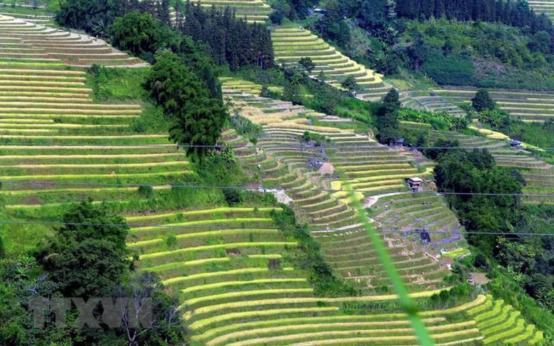Вдали между горами и лесами Северо-Запада можно увидеть дороги, пересекающие горы. Вдали между горами и лесами Северо-Запада можно увидеть дороги, пересекающие горы.