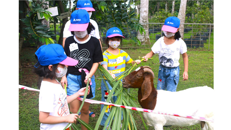 Дети играют в зоне для коз и кроликов с миленькими животными. Фото: dulich.laodong.vn Дети играют в зоне для коз и кроликов с миленькими животными. Фото: dulich.laodong.vn
