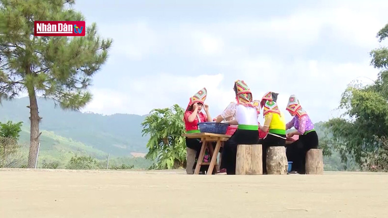 Большинство членов кооператива Ara-Tay Coffee является тайскими женщинами, у которых общее желание поднять положение кофейных зерен своей маленькой Родины. Большинство членов кооператива Ara-Tay Coffee является тайскими женщинами, у которых общее желание поднять положение кофейных зерен своей маленькой Родины.