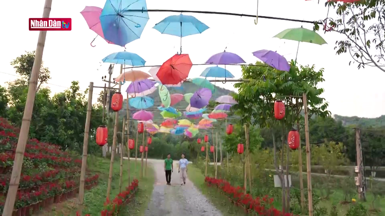 Дорога с красочными цветами