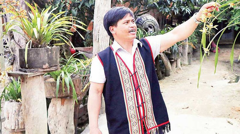 Председатель туристического кооператива Виронгео А Хиен представляет виды орхидей, которые выращивают в деревне. Председатель туристического кооператива Виронгео А Хиен представляет виды орхидей, которые выращивают в деревне.