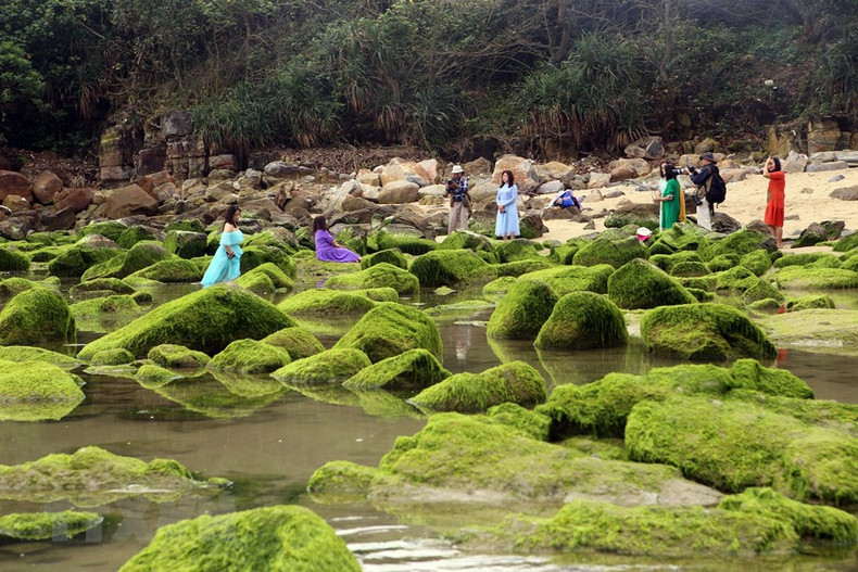 Туристы фотографируются на фоне замшелых скал во время отлива.