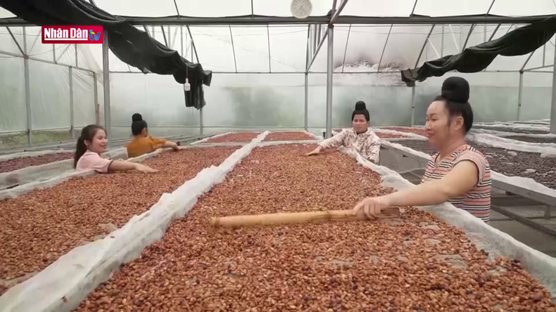 В 2022 году бренд Ara-Tay Coffee был признан одним из 19 типичных сельскохозяйственных продуктов провинции Шонла. В 2022 году бренд Ara-Tay Coffee был признан одним из 19 типичных сельскохозяйственных продуктов провинции Шонла.