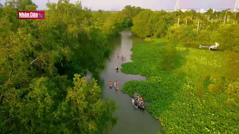 Участвуя в туре, туристы могут в полной мере наслаждаться красотой водного пространства города Кантхо. Участвуя в туре, туристы могут в полной мере наслаждаться красотой водного пространства города Кантхо.