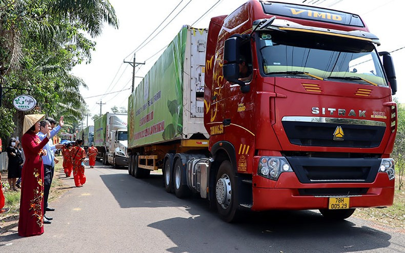 Партия свежих бананов провинции Донгнай, экспортированная в Китай в начале 2023 года.