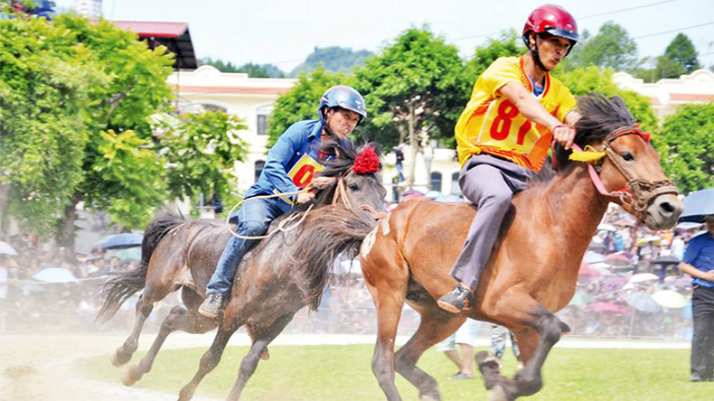 Ноздря в ноздрю. Ноздря в ноздрю.