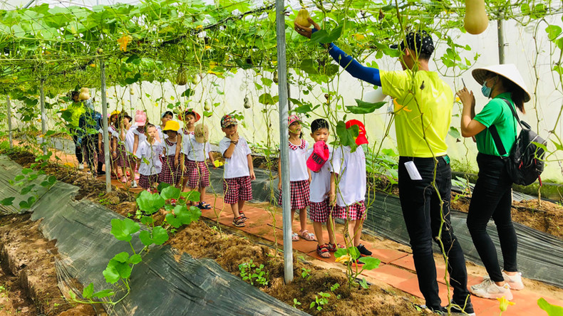 Изюминкой фермы является органический питомник растений и овощей. Фото: haugiangtourism.vn Изюминкой фермы является органический питомник растений и овощей. Фото: haugiangtourism.vn