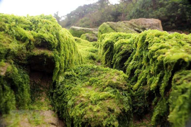 Во время отлива скалы появляются на длинном пляже, покрытом гладким песком, создавая прекрасные пейзажи.