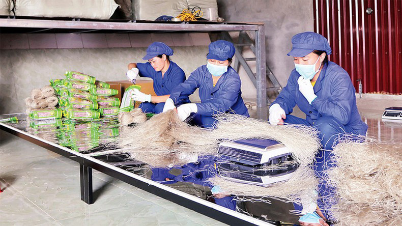 После резки вермишель будет упакована в кооперативе Тайхоан уезда Нари. После резки вермишель будет упакована в кооперативе Тайхоан уезда Нари.