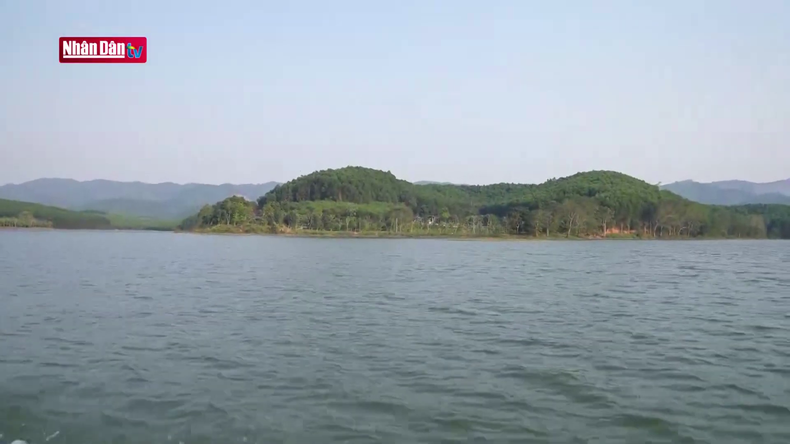 Леса у озера Хонмат.