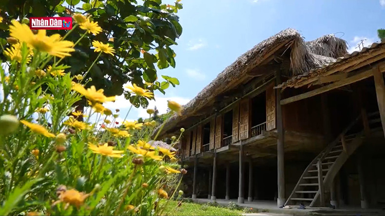 Традиционный дом на сваях. Традиционный дом на сваях.