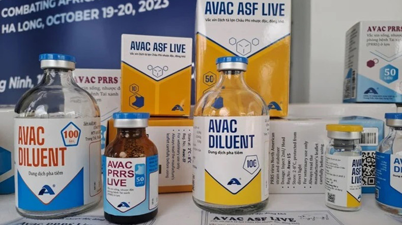 Вакцина «AVAC ASF LIVE»