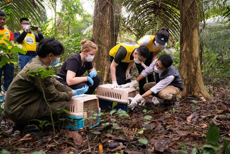 Команда экспертов и волонтеров национального парка Кукфыонг со всего мира. Команда экспертов и волонтеров национального парка Кукфыонг со всего мира.