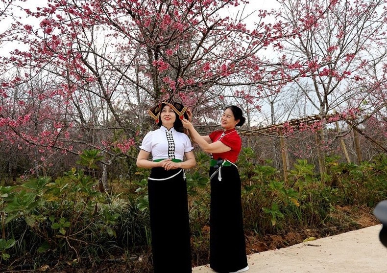 Туристы запечатлевают самые красивые моменты на цветочном острове Пакхоанг. Туристы запечатлевают самые красивые моменты на цветочном острове Пакхоанг.