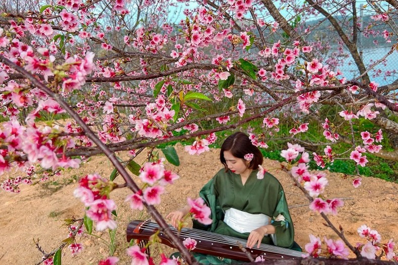 Чтобы приветствовать туристов, с 12 по 14 января на цветочном острове Пакхоанг в провинции Дьенбьен Народный комитет города Дьенбьенфу организовывал культурные мероприятия, наполненные культурной самобытностью вьетнамского и японского народов. Чтобы приветствовать туристов, с 12 по 14 января на цветочном острове Пакхоанг в провинции Дьенбьен Народный комитет города Дьенбьенфу организовывал культурные мероприятия, наполненные культурной самобытностью вьетнамского и японского народов.