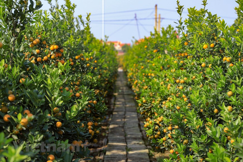 Увеличивается и покупательная способность. Увеличивается и покупательная способность.