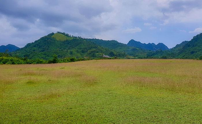 Просторные гладкие газоны подходят для развлекательных мероприятий и кемпинга в выходные дни. Просторные гладкие газоны подходят для развлекательных мероприятий и кемпинга в выходные дни.