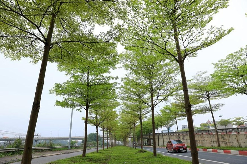 Работа из серии «Новая жизнь». Работа из серии «Новая жизнь».