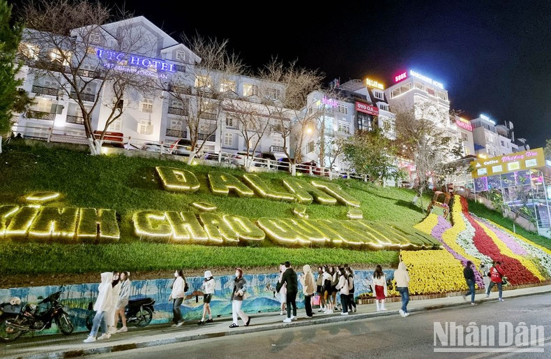 Рождественский сезон во время фестиваля цветов в Далате. Рождественский сезон во время фестиваля цветов в Далате.