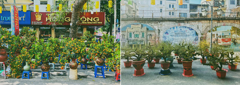 На рынке продаются персики и кумкваты. Фото: toquoc.vn На рынке продаются персики и кумкваты. Фото: toquoc.vn