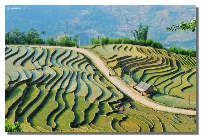 Долина террасных полей в Ити. Фото: dantri.com.vn Долина террасных полей в Ити. Фото: dantri.com.vn