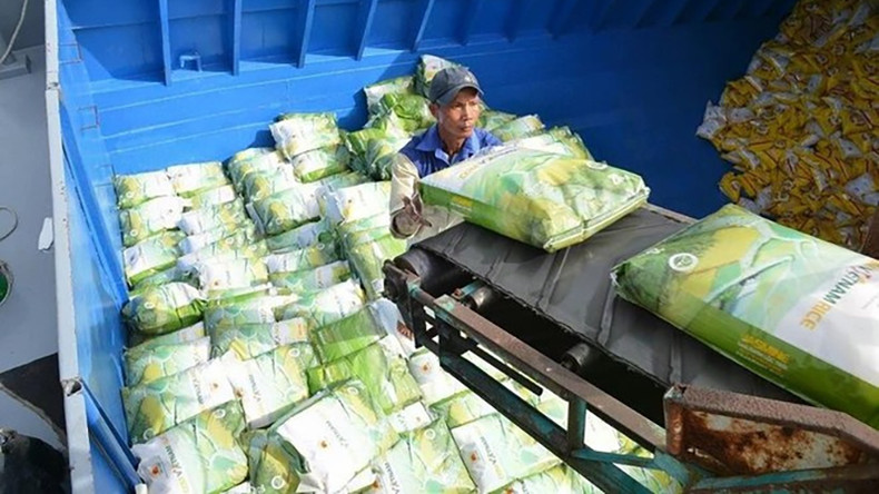 Обработка риса для экспорта. Фото: ВИA Обработка риса для экспорта. Фото: ВИA